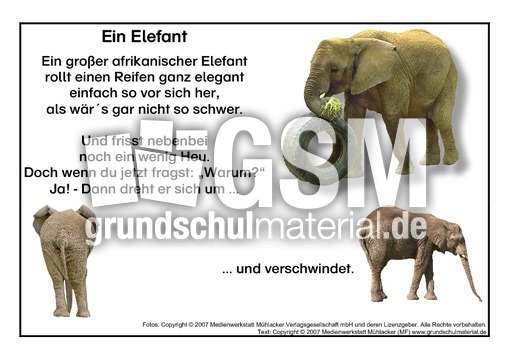 Ein-Elefant.pdf